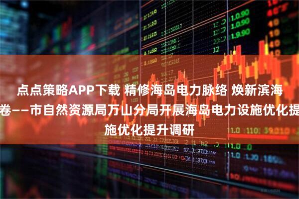 点点策略APP下载 精修海岛电力脉络 焕新滨海和美画卷——市自然资源局万山分局开展海岛电力设施优化提升调研